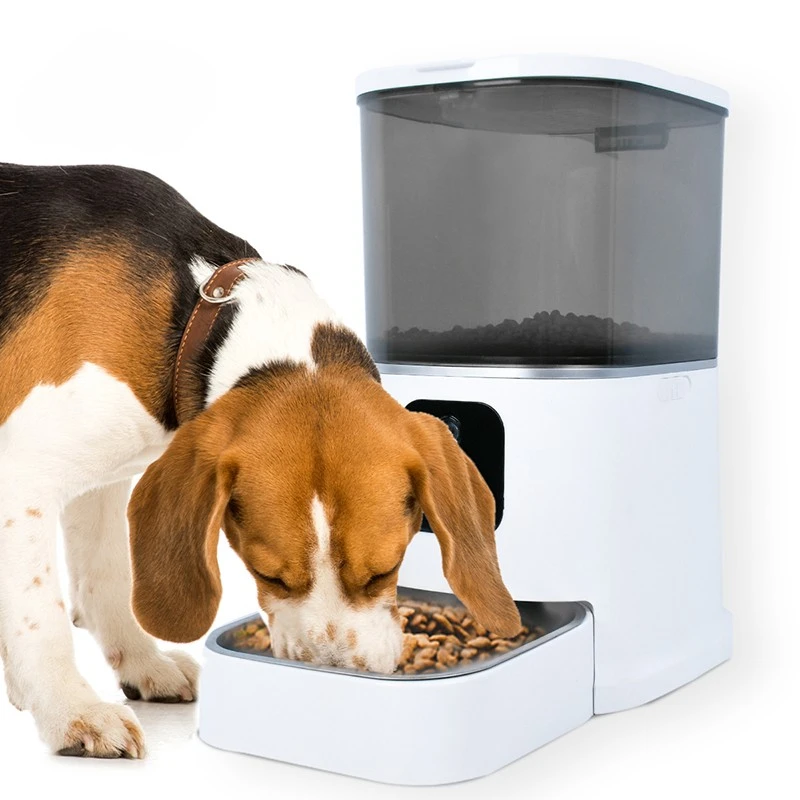 Automatic Pet Feeder With Camera Pet Automatic Feeder Phone Remote Control 6l Capacity Wifi Connection Smart Pet Feeder