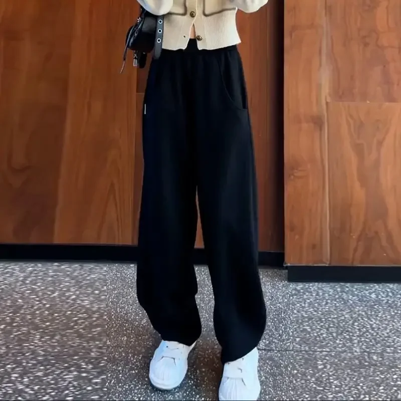 women's spring and autumn 2024 new style spring wide leg loose sickle shaped  casual straight leg pants women