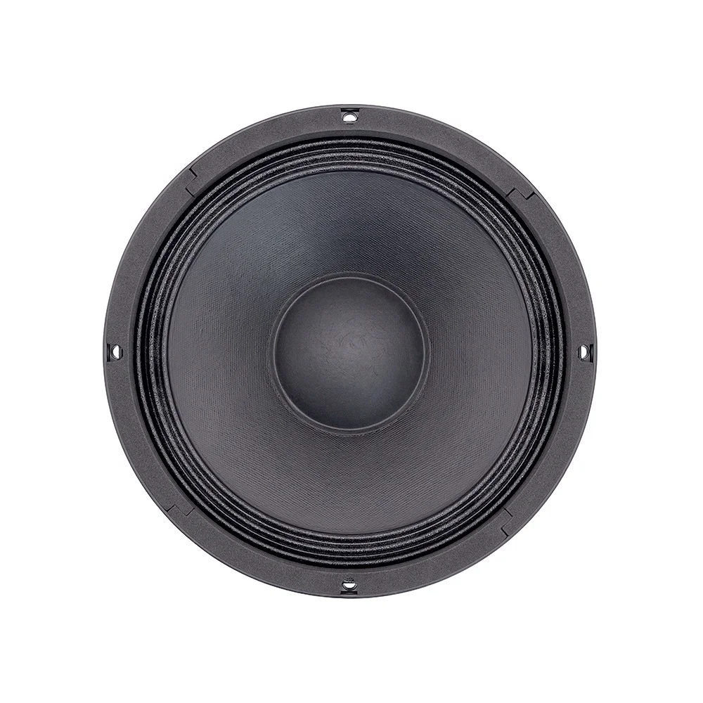 T-W10L067 10 Inch Line Array Speaker 2.5''Voice Coil 1000W Outdoor Stage Speaker