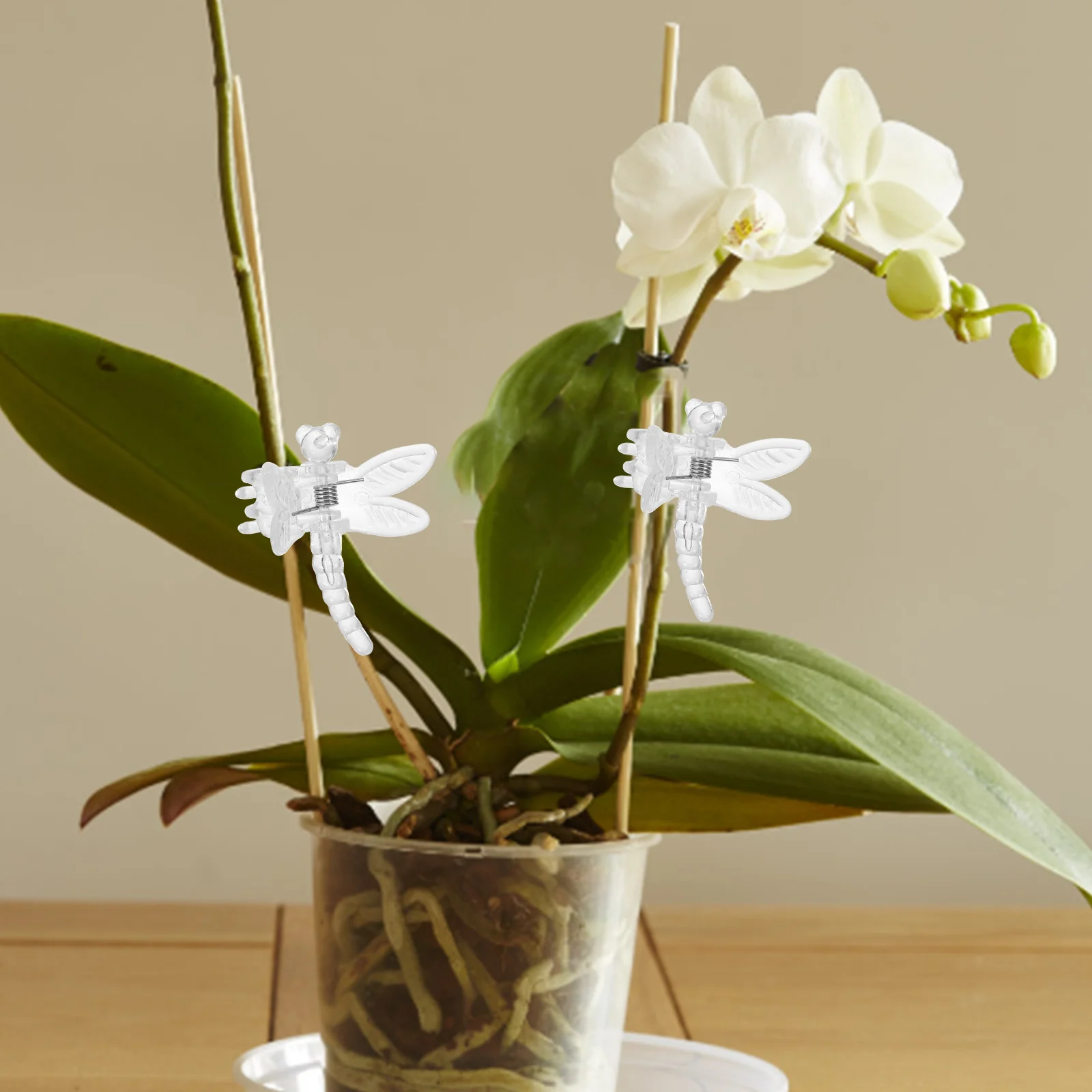 10 قطعة مقاطع الأوركيد واضح نبات صغير الجذعية دعم مقاطع لنباتات الحديقة لا ضرر تثبيت سريع الكرمة الخضروات الطماطم الفاصوليا