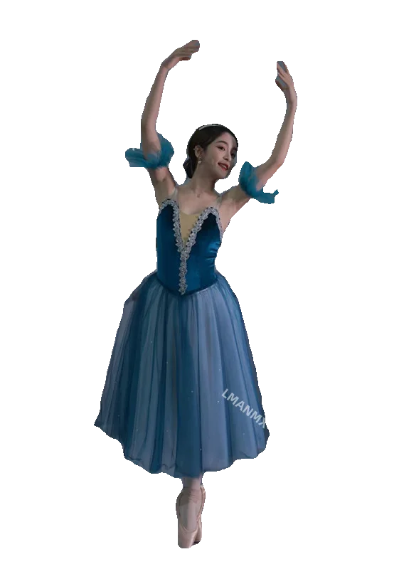 Ballet performance costume, adult competition dance costume, children's gauze skirt, long skirt, fluffy skirt