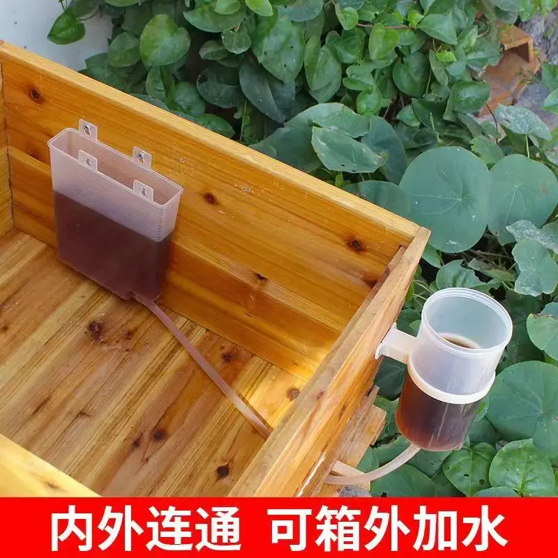 5Pcs Bee Feeding Tool Plastic Non Opening Box Feeder Automatic Plastic Feeder Beekeeping Water Feeder