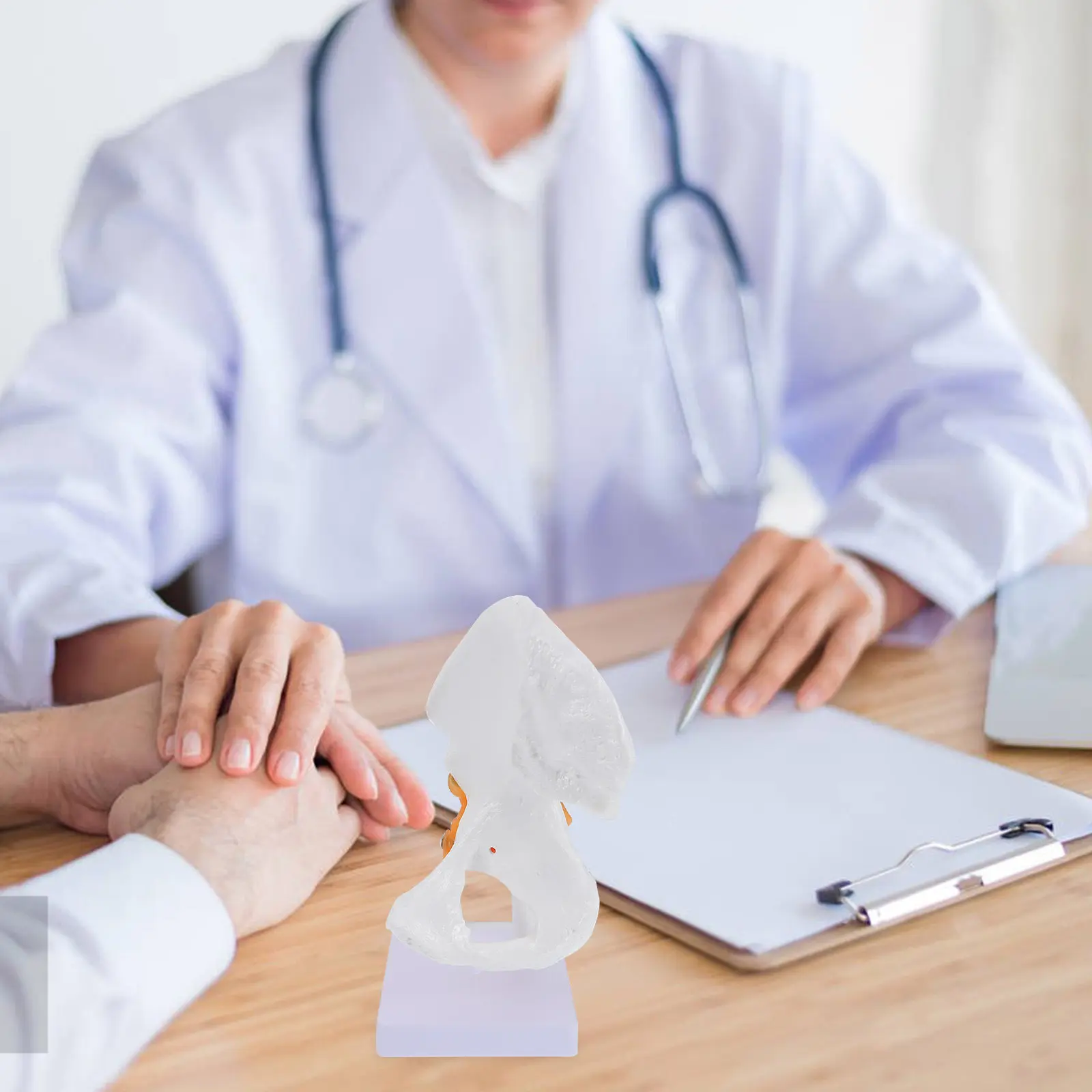 

Анатомическая модель тазовых костей человека из ПВХ, 1 шт., учебное пособие для медсестер, студентов-медиков, школ