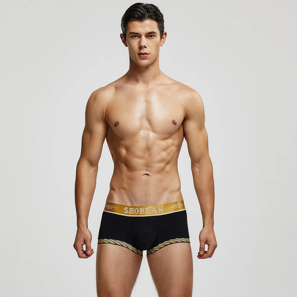 2025 European and American style men's underwear, men's cotton underwear, men's boxers, underwear 00210