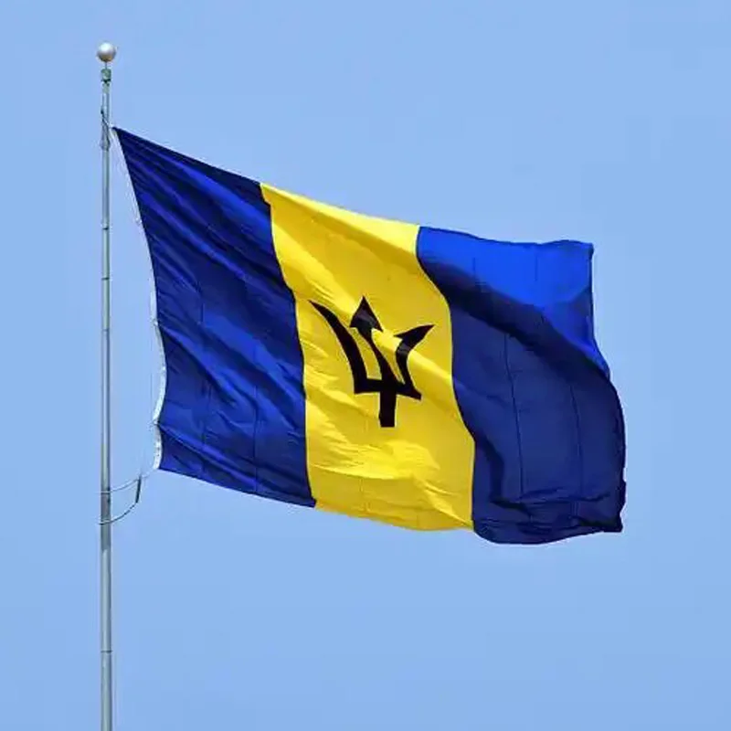 5 Pcs/lot Barbados Flag 90x150cm Barbados Flag wholesale