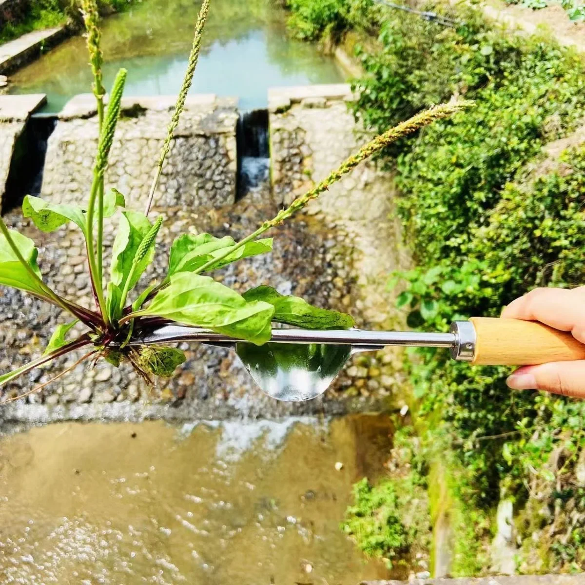Manuelles Unkrautmaschinen-Set: Maaier Sichel + Straßenriss-Unkrautwerkzeug + Garten-Handschaufel – robuster Kohlenstoffstahl für den Außenbereich und – Detail 8