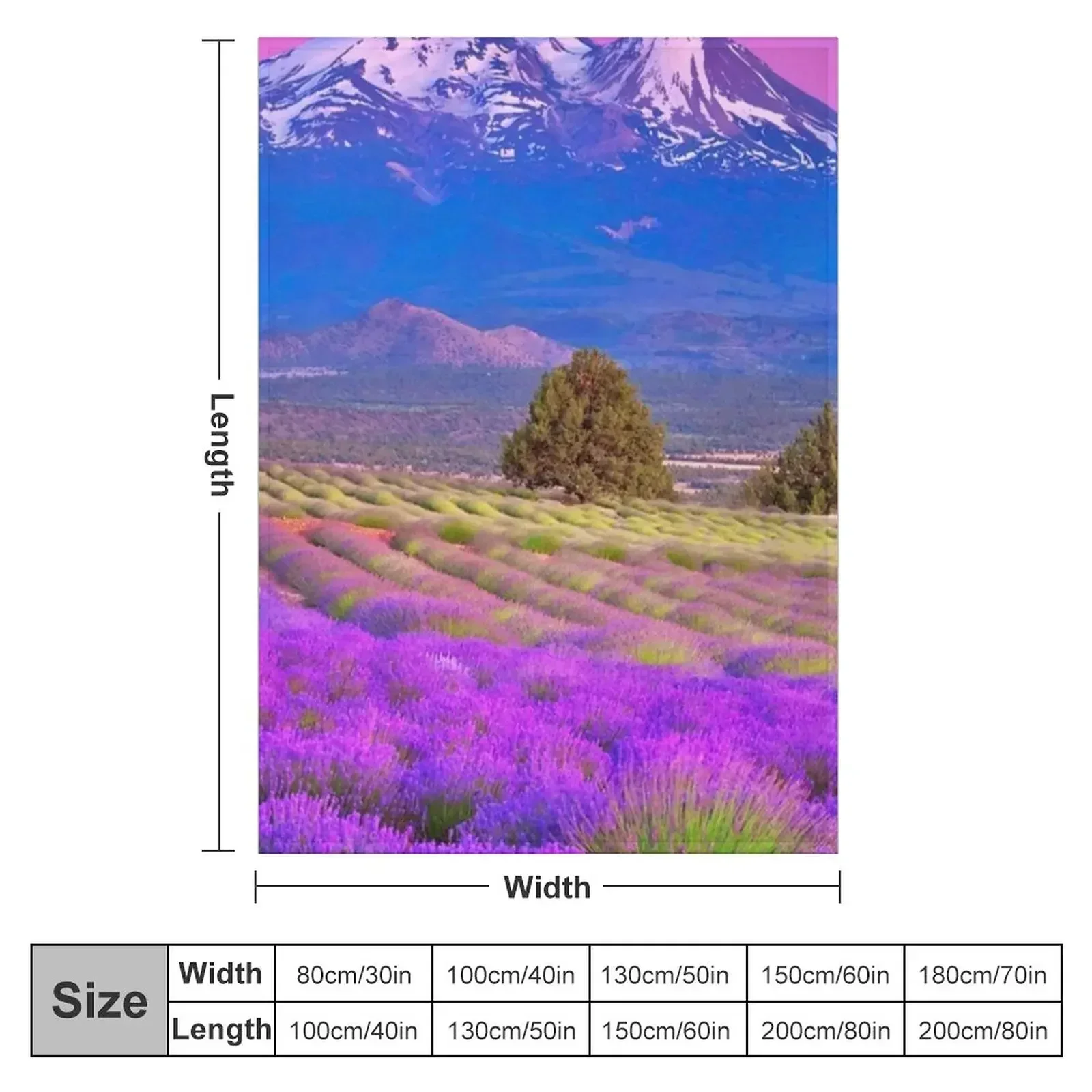 Provence, France Throw Blanket Summer Beddings Decorative Beds Softest Tourist Blankets