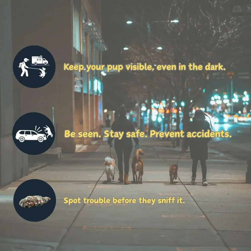 

Выдвижной поводок для собак с подсветкой из АБС-пластика, регулируемая длина, удлиненная цепочка для собак 5 м, электронный светильник, тяга для собак, ночные прогулки