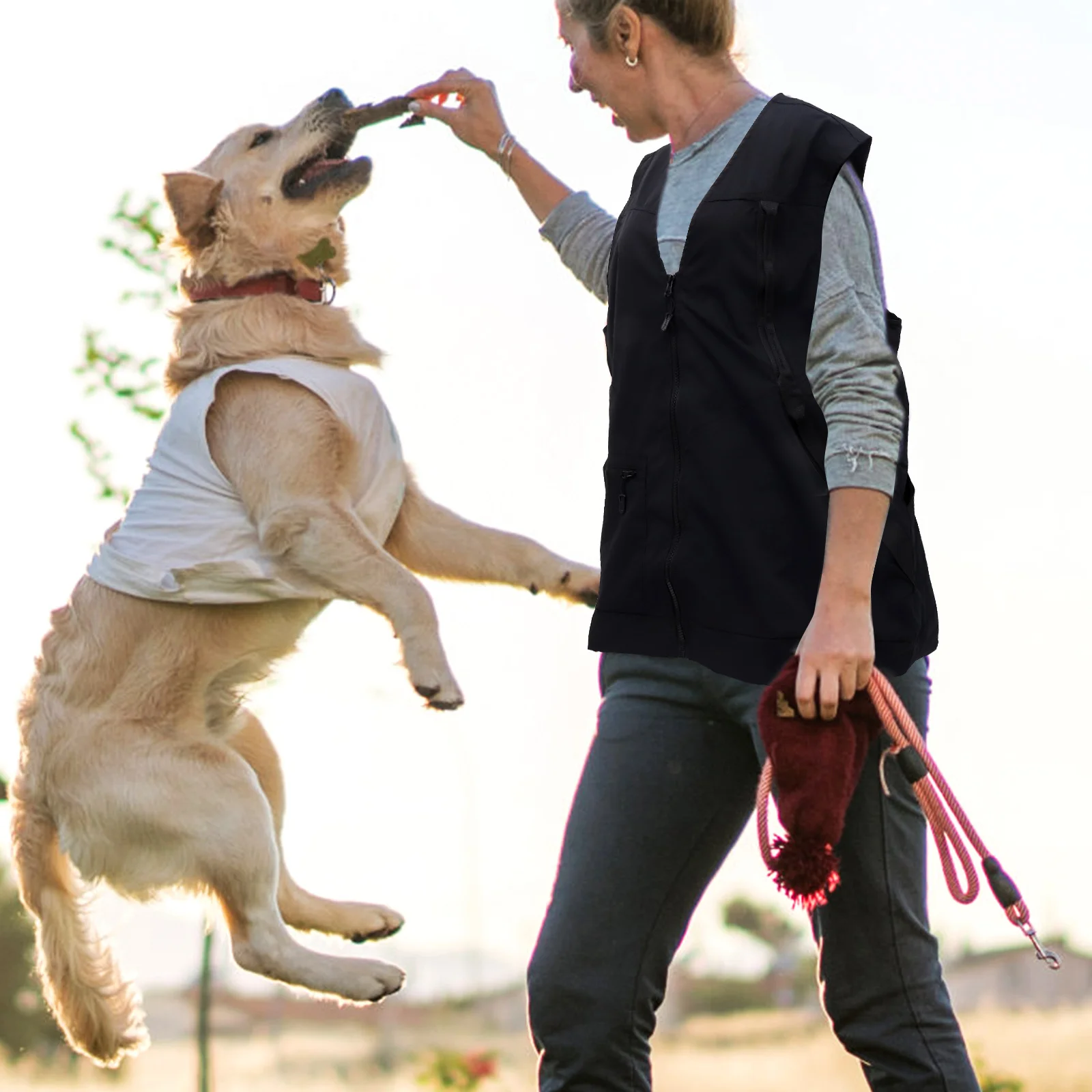 

Dog Trainer Vest Breathable Lightweight Mesh Lining Adjustable Waist Large Front Pockets Pet Owner Clothing Pet Trainer Vest