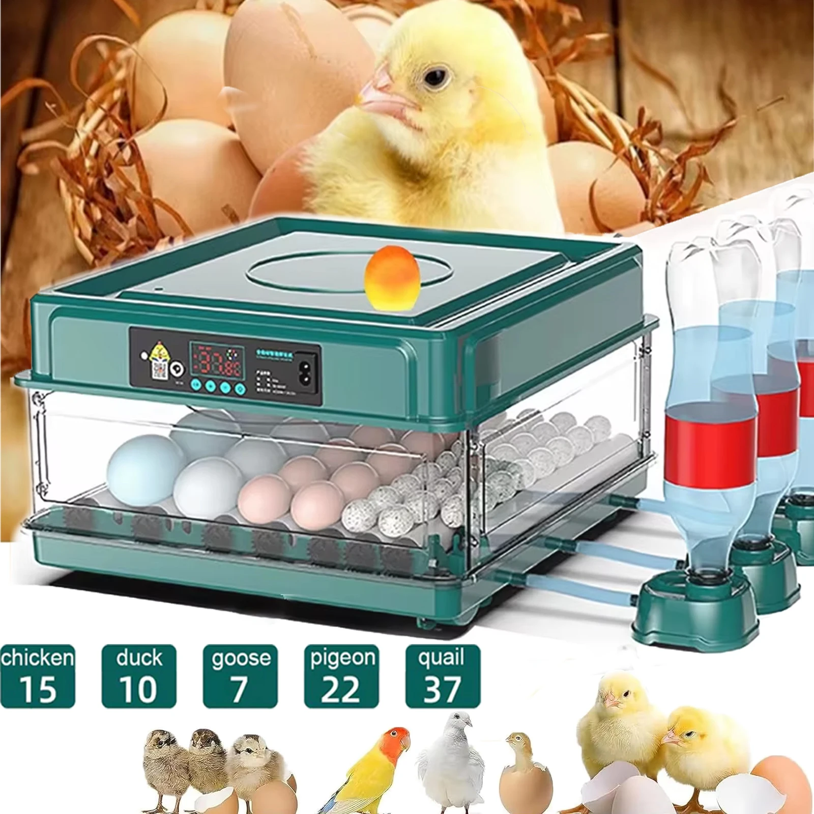 Incubadora de Huevos de 9/15/24/36 Huevos con Tipo de Cajón, Mini Incubadora con Reabastecimiento Automático de Agua Iónica y Control de Temperatura