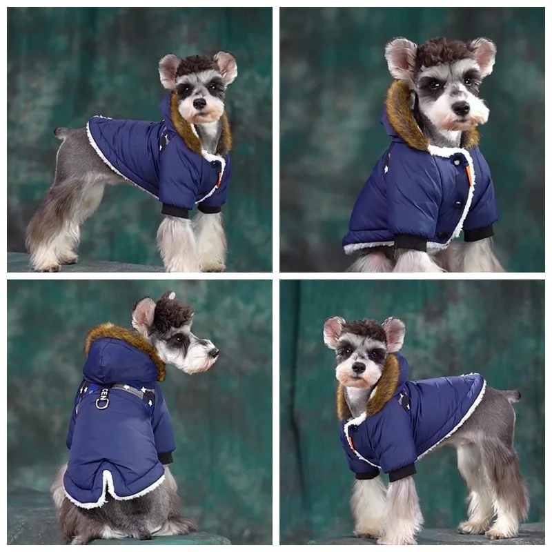 Thumbnail 2 - #23 Trending Waterproof Puppy Jackets Right Now