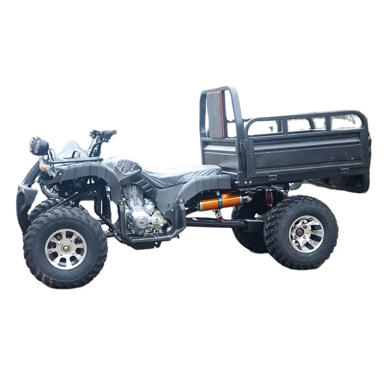 LNA Fantastic Value For Money 250cc Farm Quad 4x4 Utility Atv