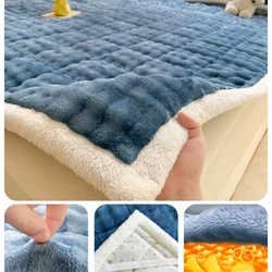 Winter Thick Warm Milk Velvet Mattress Toppers Double Bed Cover Thin Fold Tatami Mat Non-slip Mattress Cover Bedspread Bed Sheet