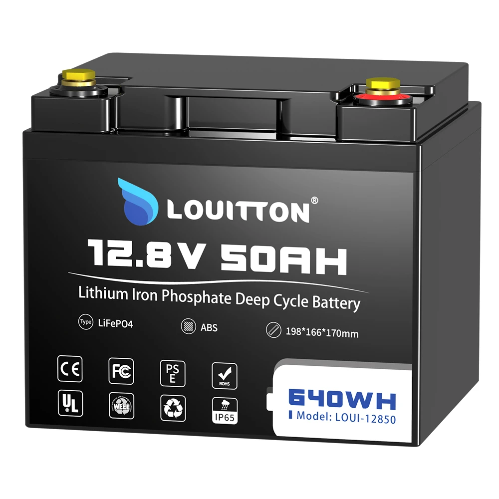 12V 24V Lifepo4 Battery 100AH 200AH 50AH Rechargeable Lithium-iron Phosphate Batteries with BMS For Home Energy Storage Systems