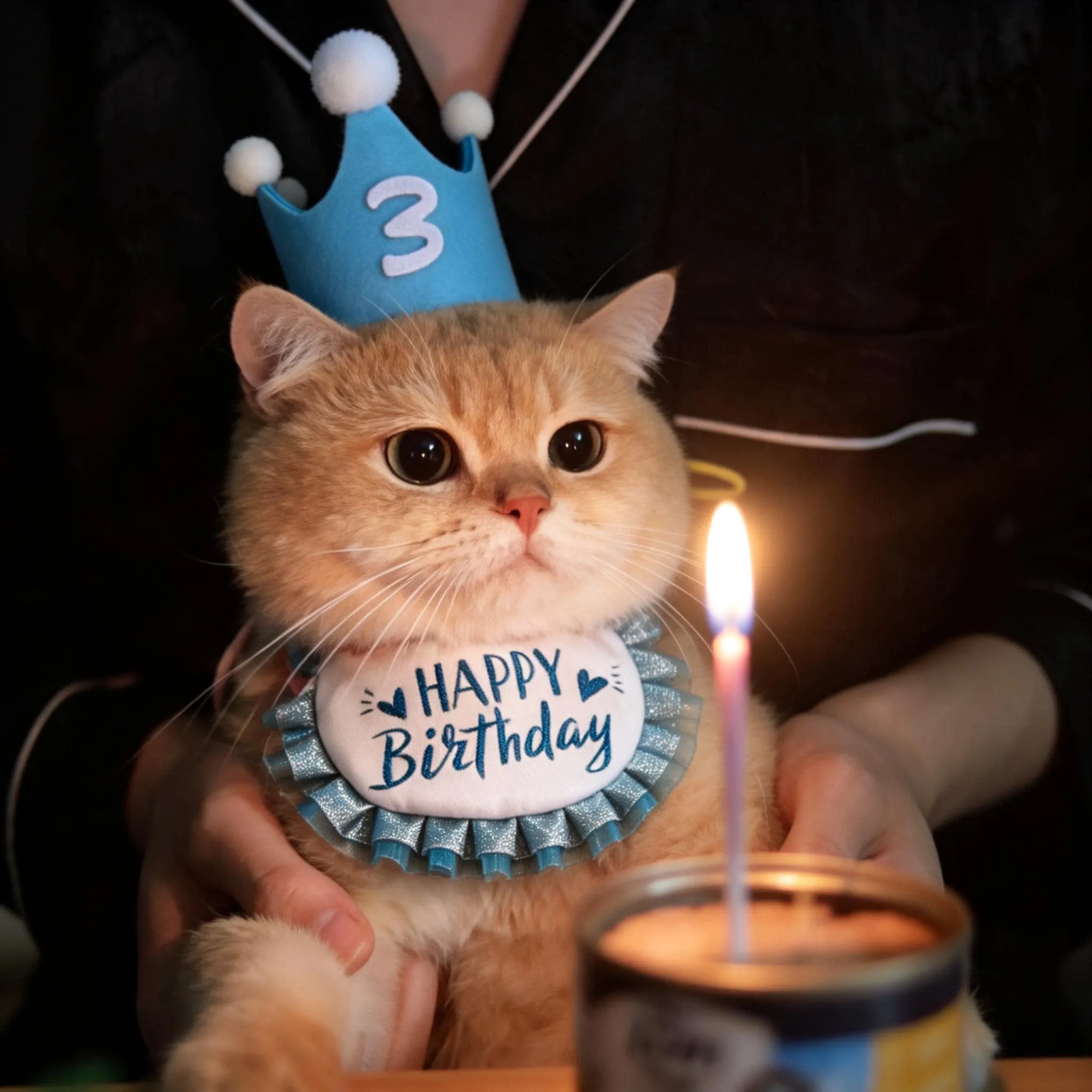 Echarpe-d'anniversaire-bavoir-chapeau-decoratif-cache-cou-pour-animaux-de-compagnie-petits-accessoires-accessoires-photo-fournitures-pour-animaux