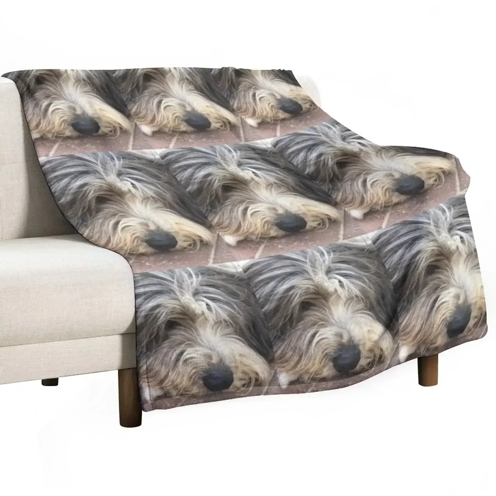 Bearded Collie Nap Time - Always got one eye open just in case! Throw Blanket Luxury Throw sofa bed Nap Blankets