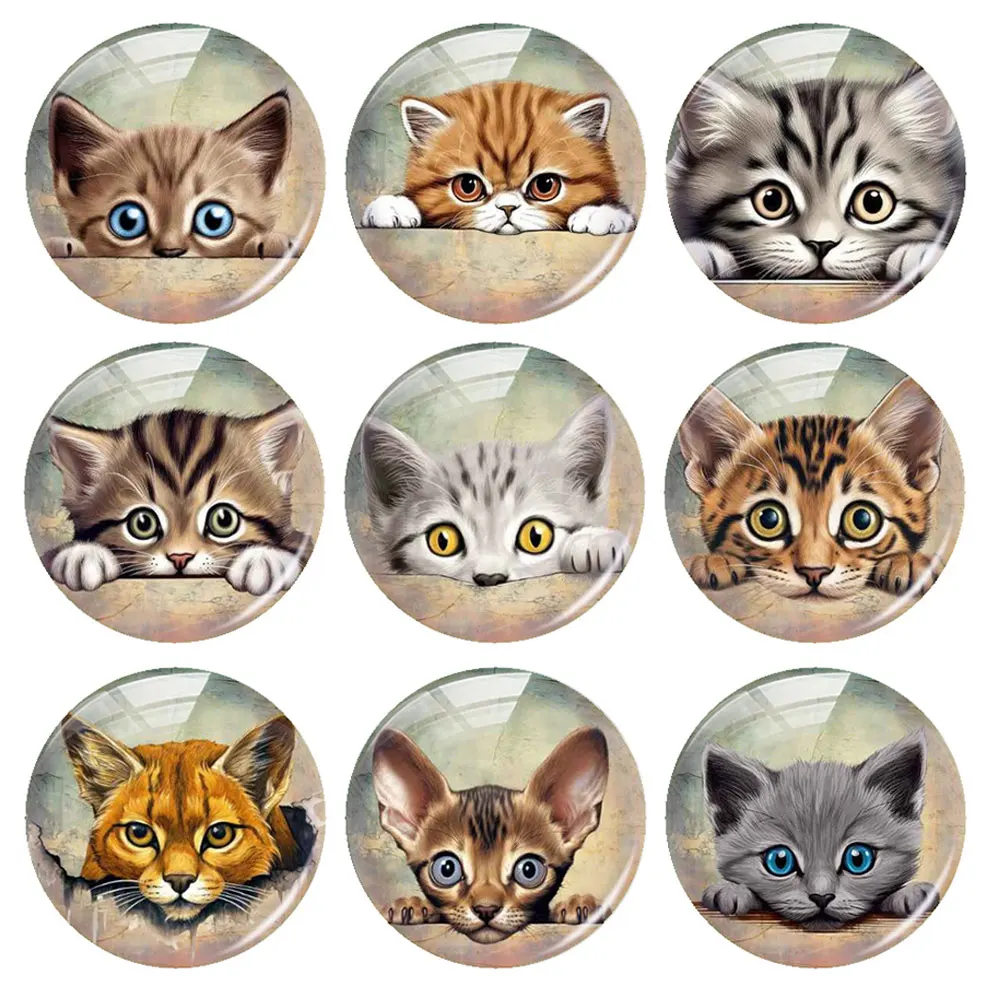 

Handmade Kitten Cat Pet Photo Glass Cabochon Flatback Demo Flat Back Cameo For Diy Jewelry Making Supplies Accessories