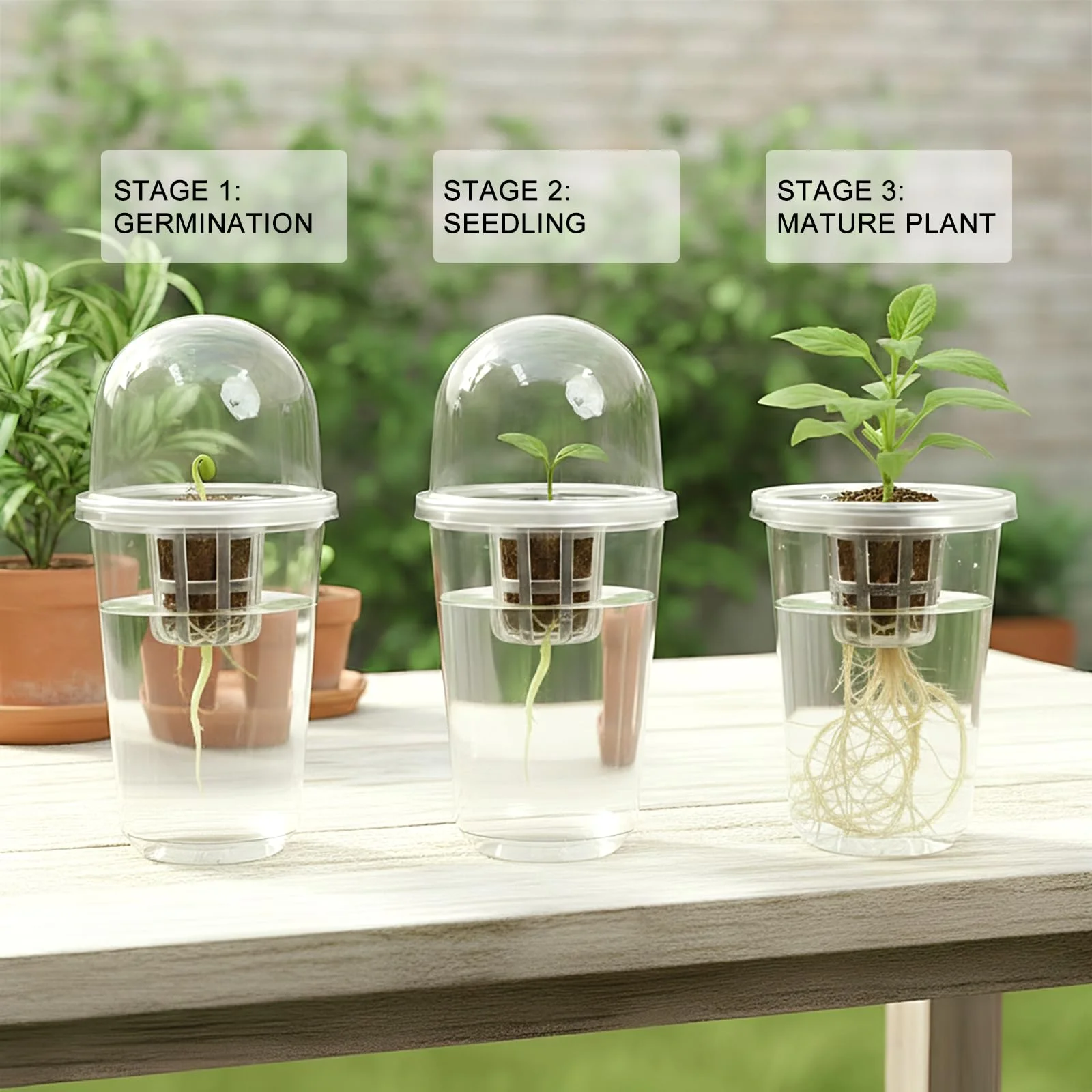 Plastic Hydroponic Seed Planti - Net Pot 3 Inch review and price