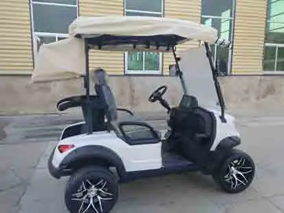 بيع المصنع مباشرة عربات الغولف الكهربائية عربة الغولف الكهربائية الحديثة #5