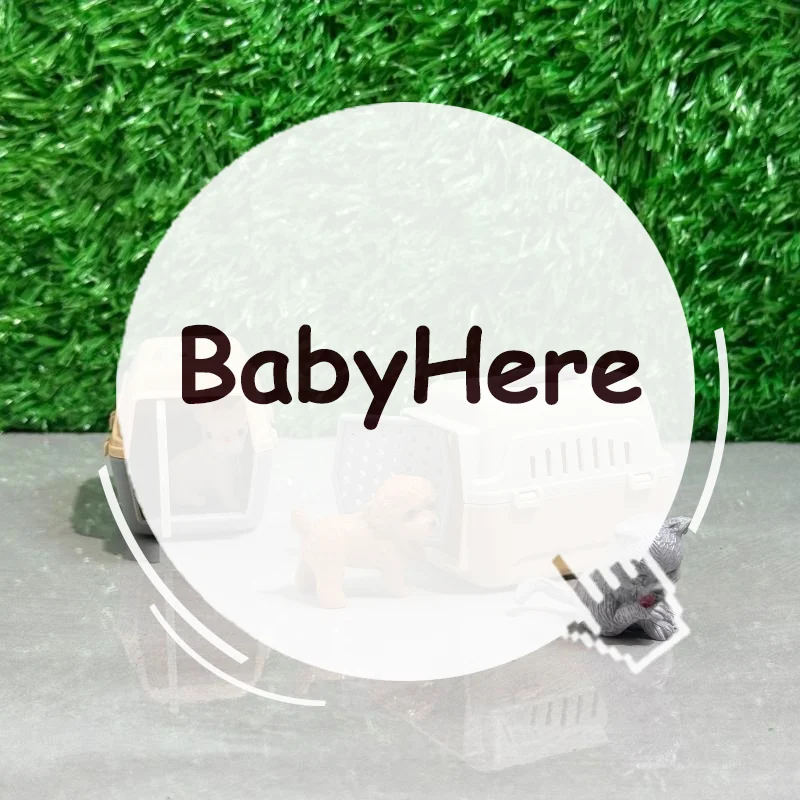 Mini jaula realista para perros y gatos con puerta, casa de muñecas en miniatura, accesorios para muñecas, Mini hábitat para mascotas, 2/4 Uds.