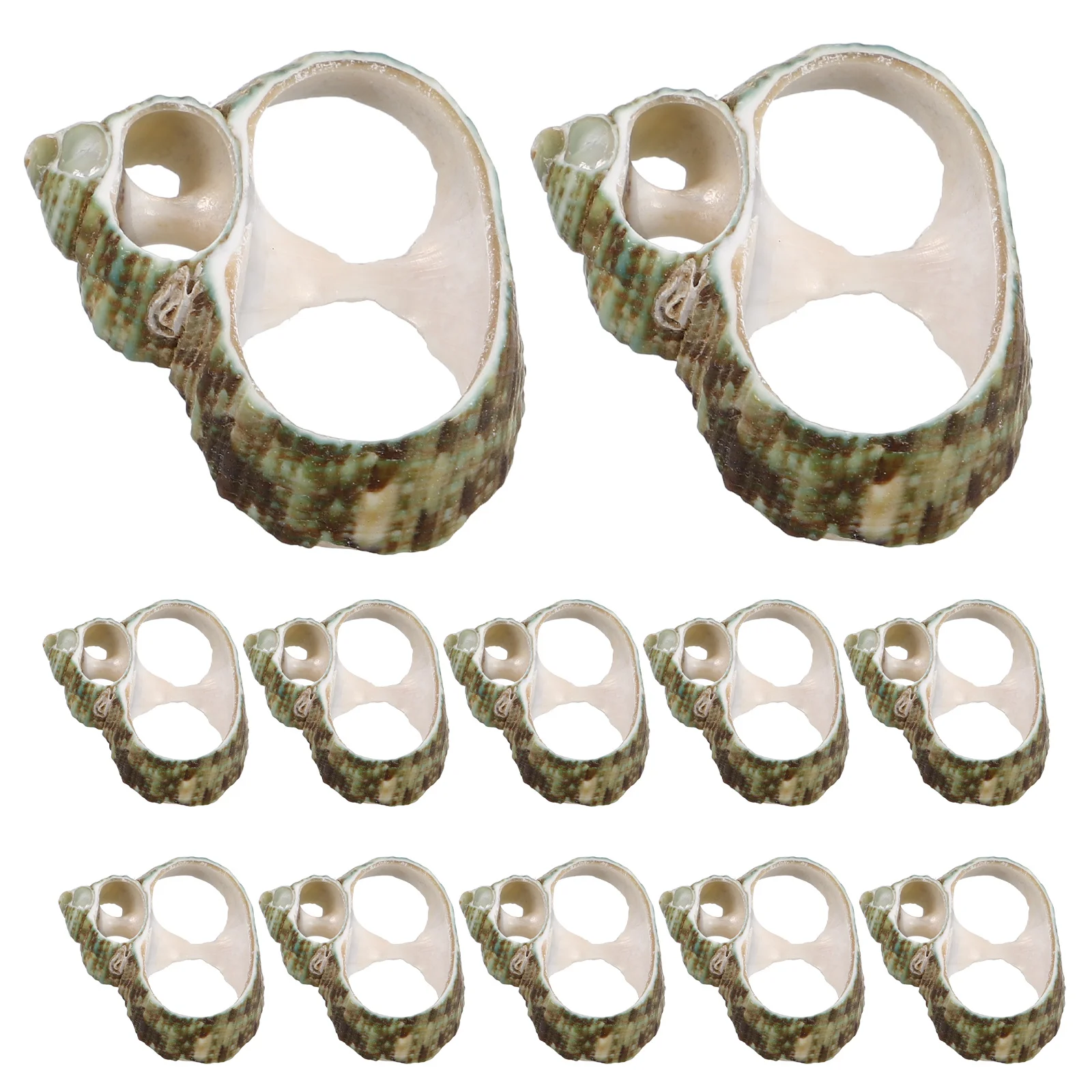 20Pcs Conch Shell Slices for DIY Crafting Jewelry Making Natural Seashells Beach Nautical Home Decoration Mixed Shell Slices