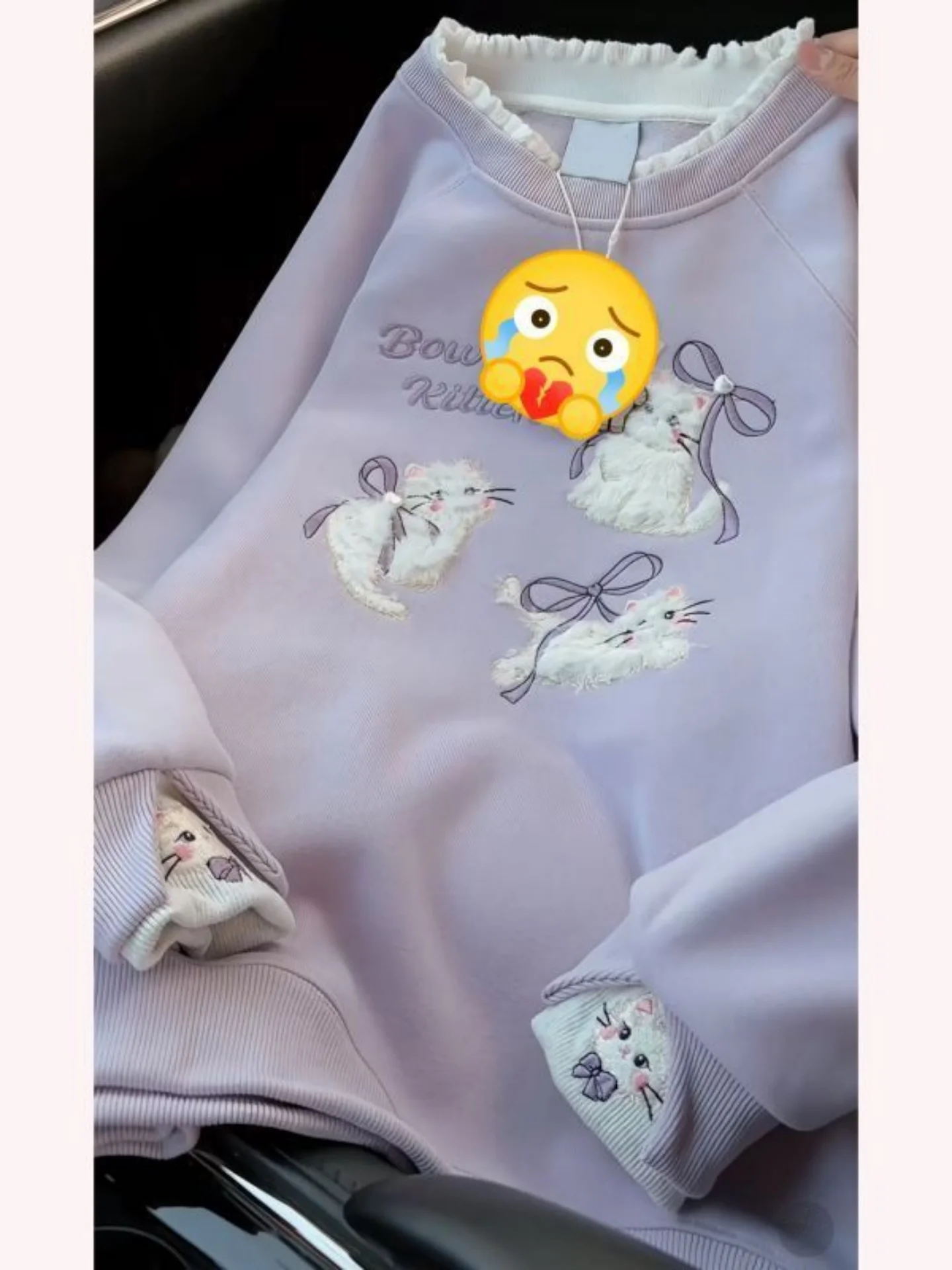 

Cute Heavy Embroidery Sweatshirt Women's Purple Fleece Lined Thickened Loose Top Coat Student Youth Girl Winter Hoodie
