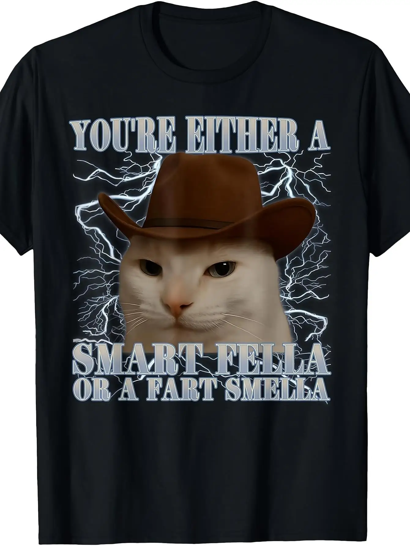 You'Re Either A Smart Fella or A Fart Smella Funny Cat Meme T-Shirt Regular Fit Crew Neck Medium Stretch Fabric Print Pattern