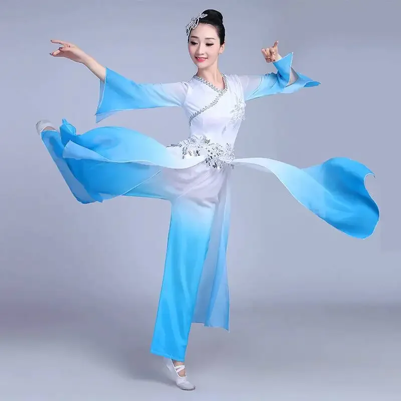 Traditional Classical dancewear chinese folk dance costume for women Water Sleeve dress Yangko Clothing Ancient pant skirt hanfu