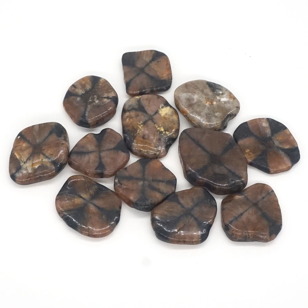 Tumbled Stones Natural Chiastolite Gemstone Crystal Healing Specimen Irregular Shape Quartz Mineral Craft Collection Home Decor