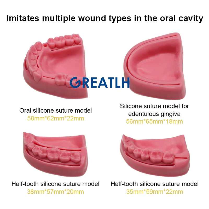 Silicone Periodontitis Suture Model Simulation Oral Suture Models Dental Suture Training Module