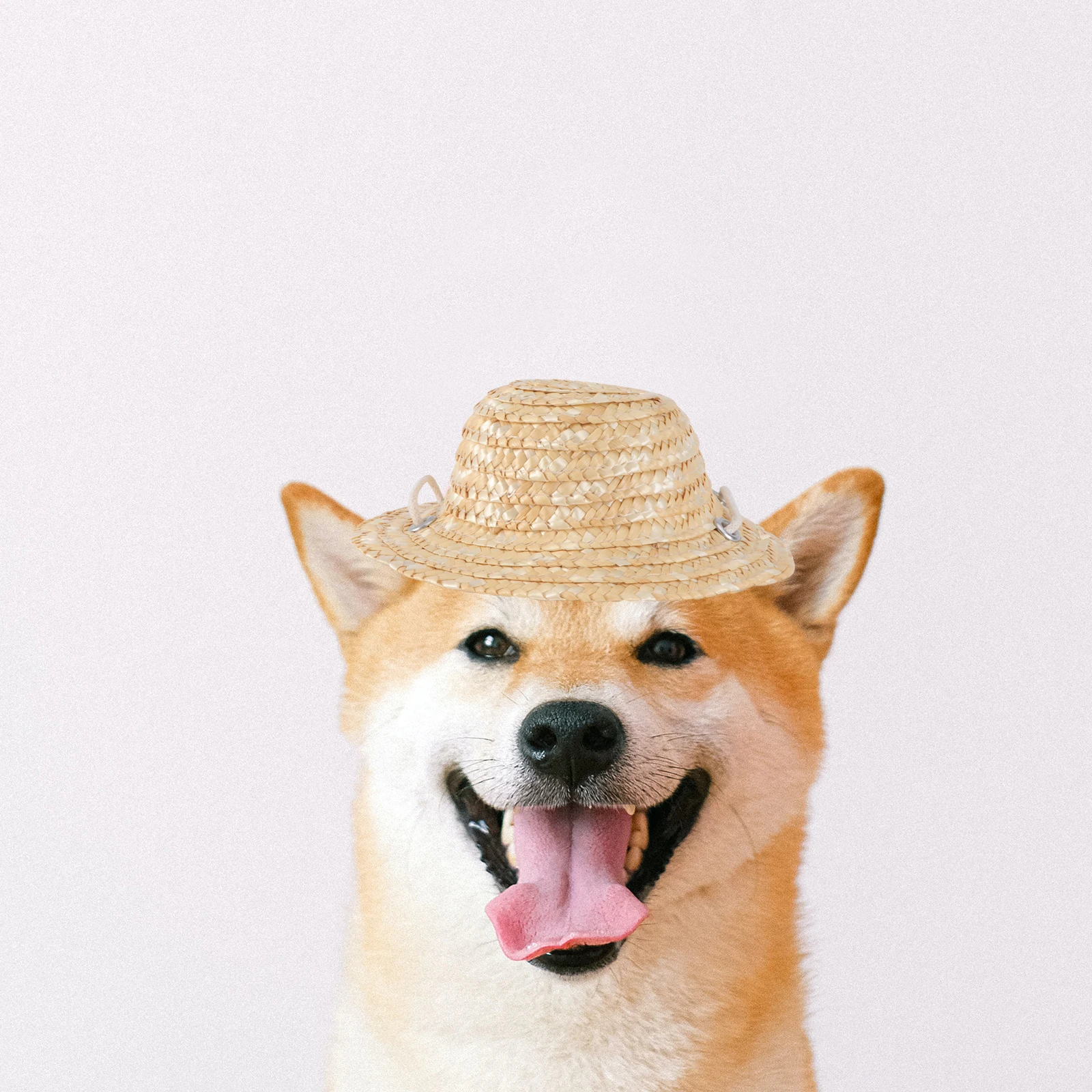 

Pet Sun Hat Straw Kitten Hats Cat Bonnet Woven Visor for Props Adjustable Adorable Pet Wear Summer Shade