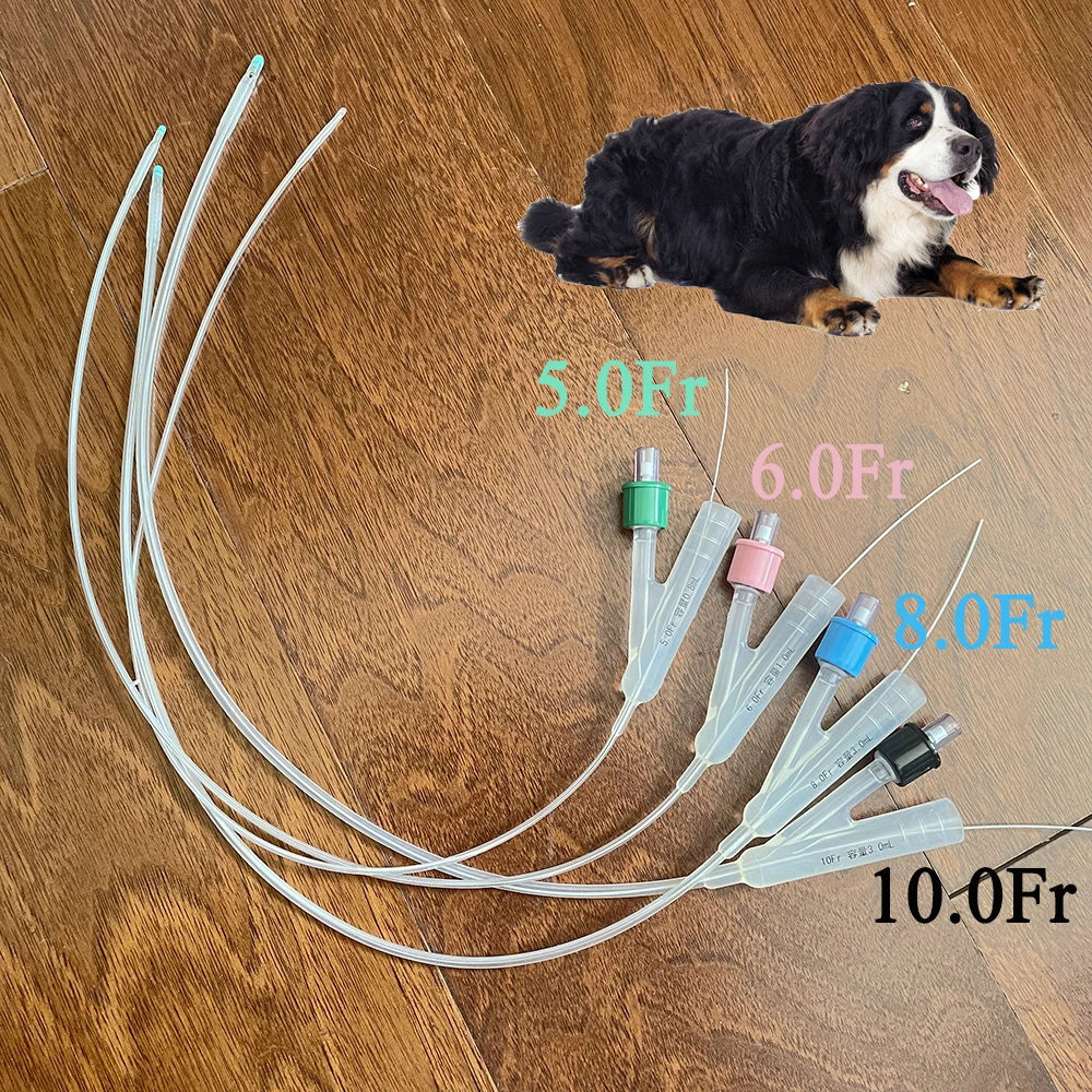 Pet Dog 2-way Urinary Silicone Foley Catheter Long Time Indwelling Close End Relieve Urethral Obstruction With Stylet Ballon