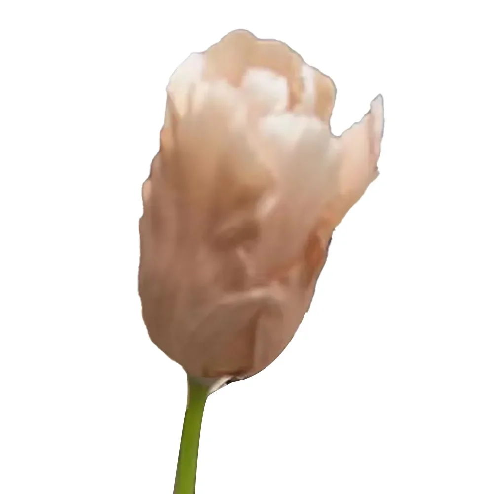 Home Tulip Flowers 1 Pcs Beautiful Decoration Fashion Real Touch Feel Silk + Plastic 2023 New For Wedding Party