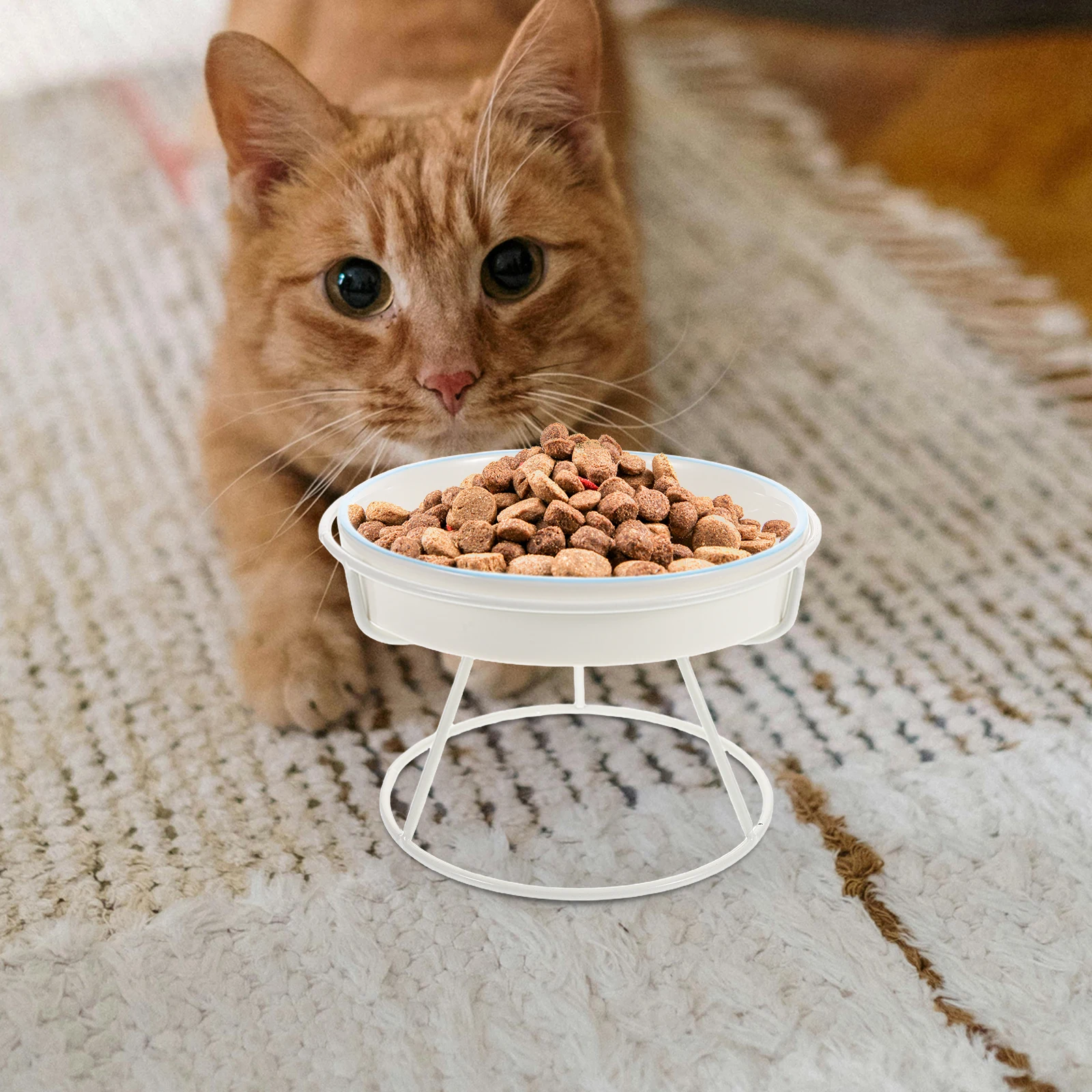

Ceramic Cat Bowl Elevated Design Slow Eating Healthy Dining Experience for Cats Small Dogs Durable Stylish Construction