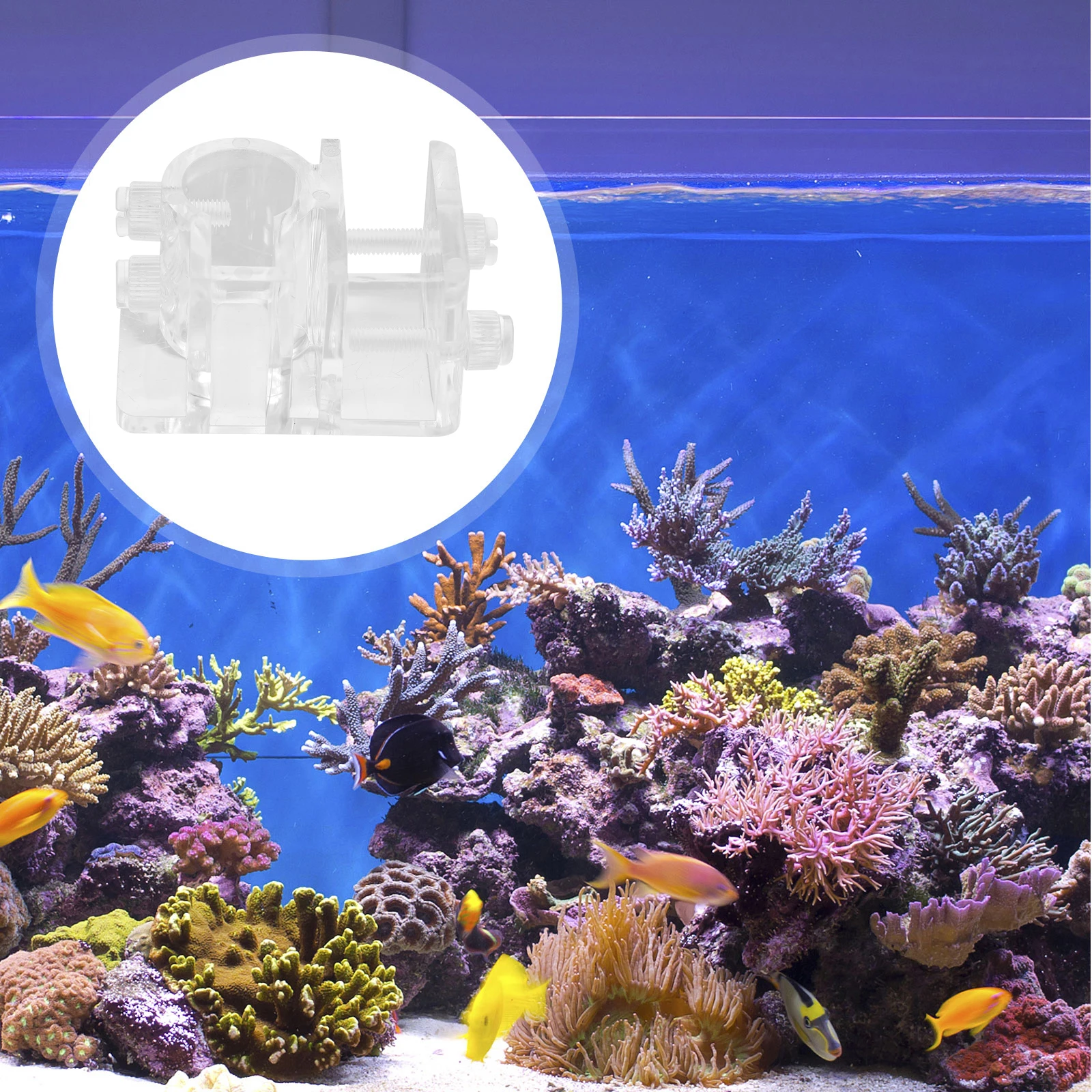 

Acrylic Fish Tank Tools White Filter Holder Pipe Clips Durable Practical Easy Install Less Space Firm Hold Non Slip Perfect For