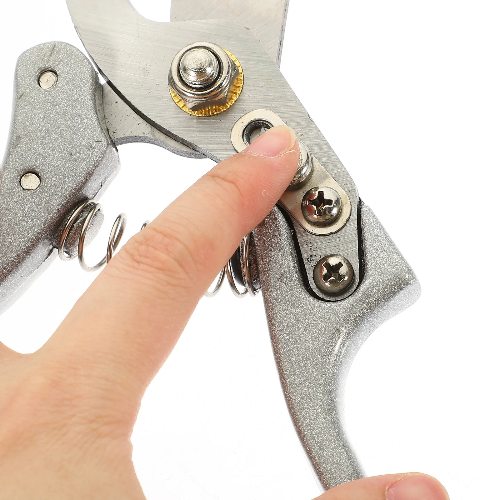 

Premium Steel Garden Shears Pruning Shears Tree Branch Cutter Flower Stem Trimmer Handheld Portable Spring Design Floral