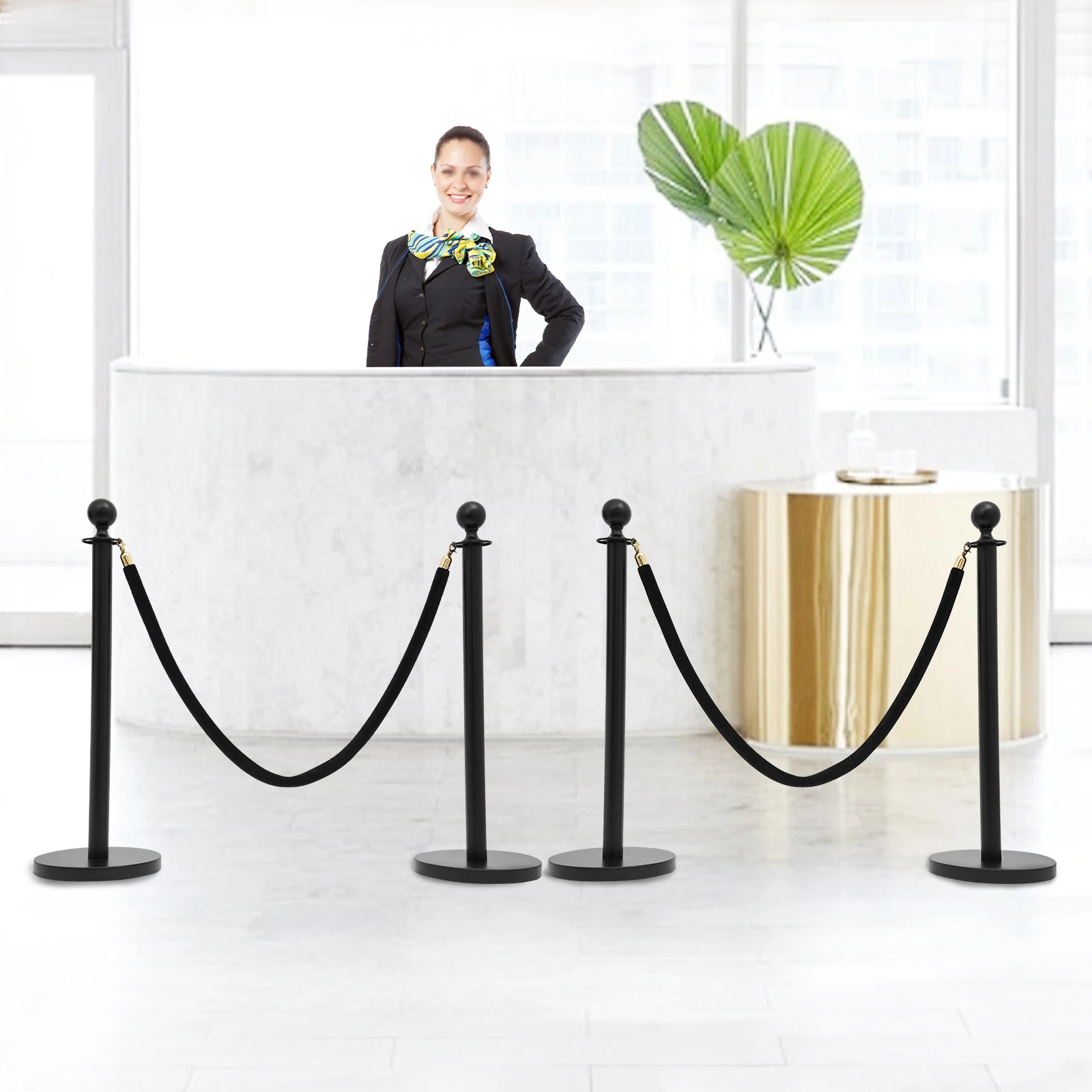 

4 PCS Black Stanchion Posts, Crowd Control Barriers, Stanchion Post with Ball Top 2* Ropes for Shopping Malls, Exhibition Halls