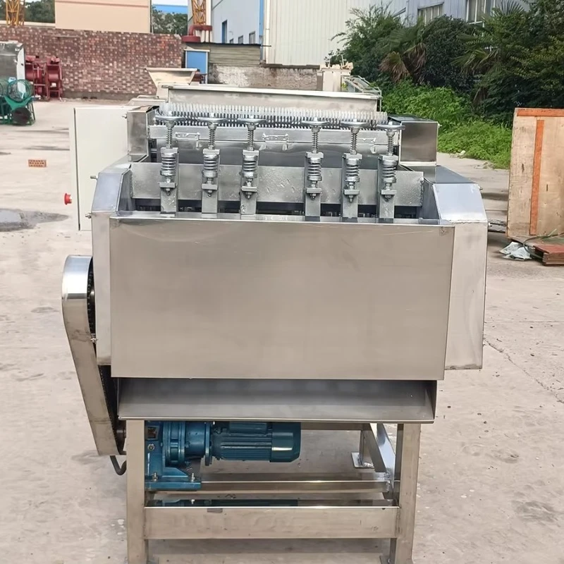 Picture 6: Automatic Cashew Nut Shell Processing Machine Manual and Automatic Cashew Nut Shelling Machine Cashew Sheller Machine