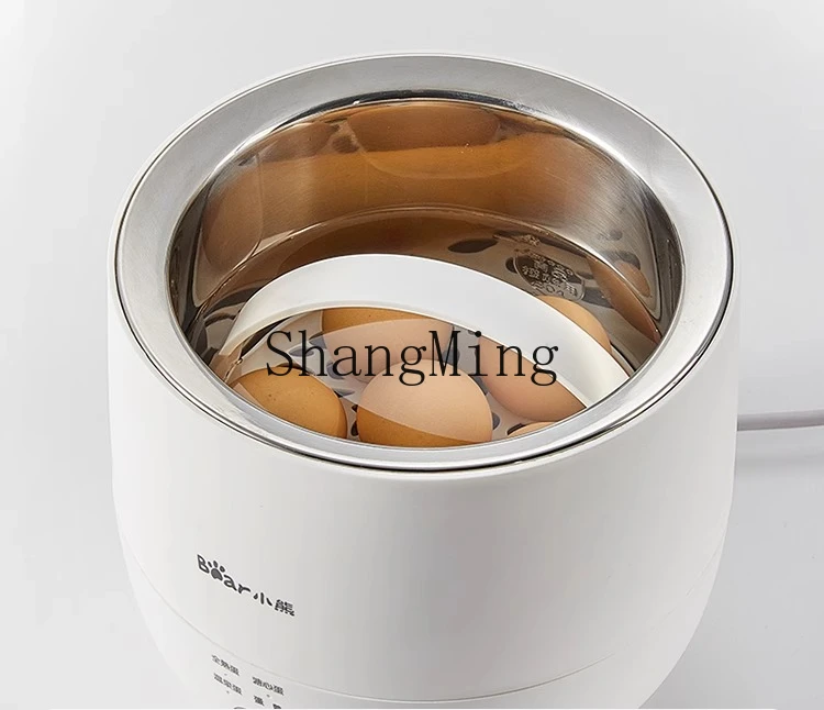 ZYY Home New Breakfast Machine Multifunctional Hot Spring Egg Boiled Egg Artifact
