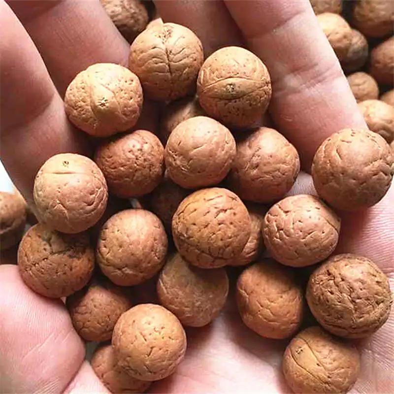 50PCS Natural Bodhi Beads Real Nepal Phoenix Eye Bodhi 15-17mm TSB0432