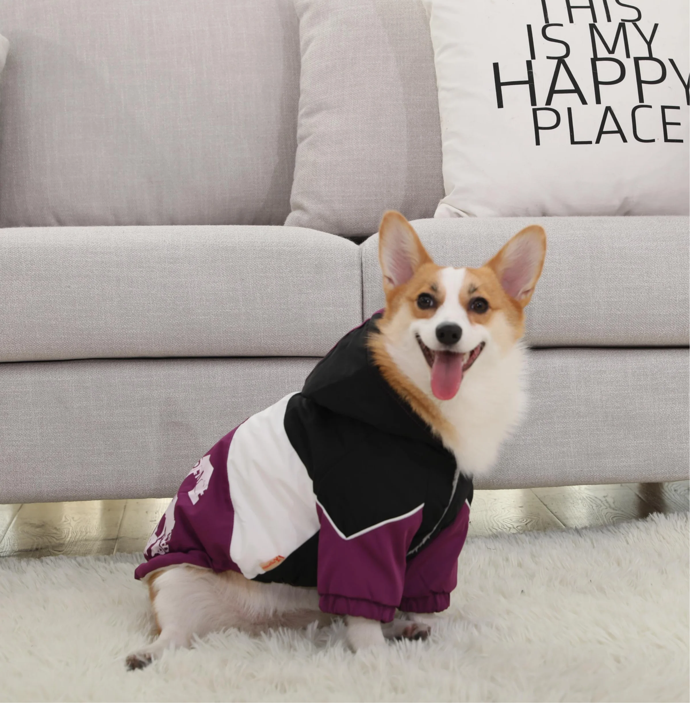 HOOPET Pet Clothes Winter Warm Clothes for Small Big Dogs Overalls Chihuahua Costumes Jacket Thicken Clothe For Pet Dog Supplier