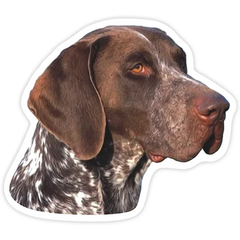 Car Sticker Various Sizes Decal German Shorthaired Pointer Car Sticker Waterproof on Bumper Rear Window Laptop Refrigerator