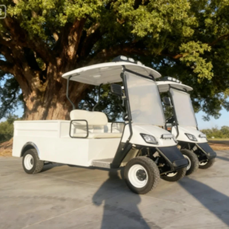 

2-местная электрическая тележка для гольфа для взрослых с задним грузовым ящиком, трансформируемая грузовая тележка со светодиодными полосами на крыше, предназначенная для привлекательности