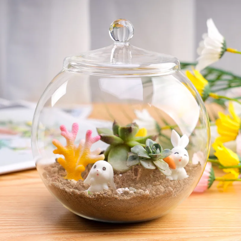f-diameter-20cm-big-size-micro-landscape-bottle-hydroponic-flower-plant-transparent-glass-terrarium-vase-home-table-decorative