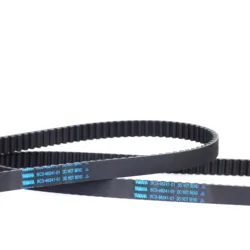 Original carbon quality Rear belt for YAMAHA T-MAX 560 T max 560 DX real belt OEM BC3-46241-00