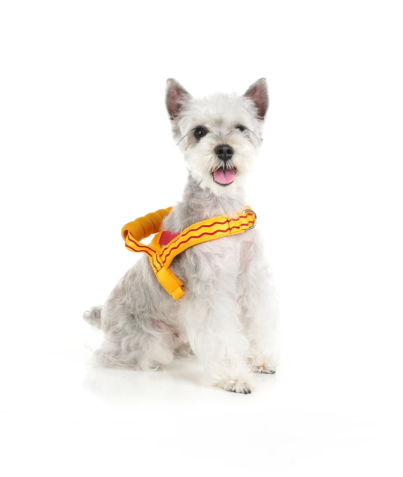 Comfortable Padded Dog Harness For Walking And Lifting Outdoor_voghion.com