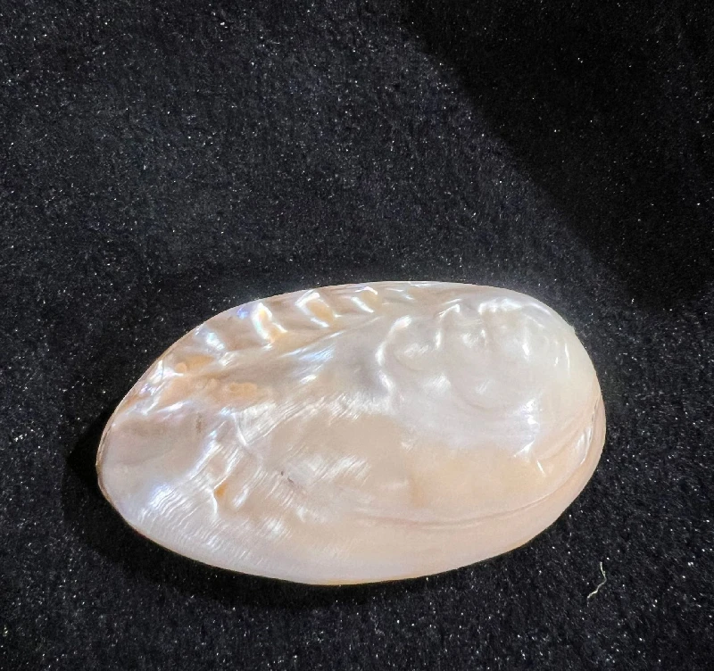 Natural Conch Shell Jewelry Box, Pearl Shell, Scallop Shell Crafts