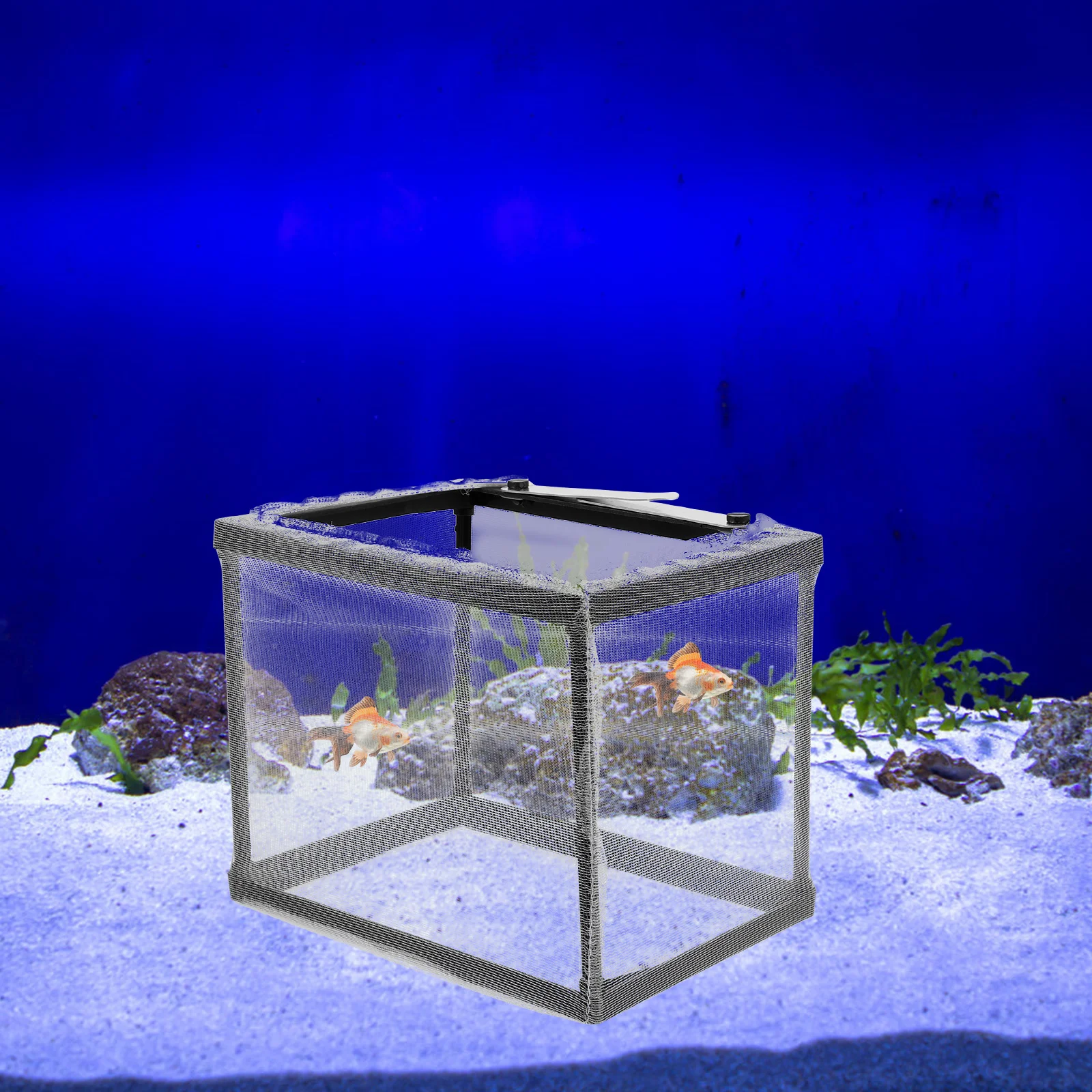 Fish Tank Isolation Box Fish Breeding Hatchery Protective Small Fish Isolation Incubator Aquarium Spawning Box