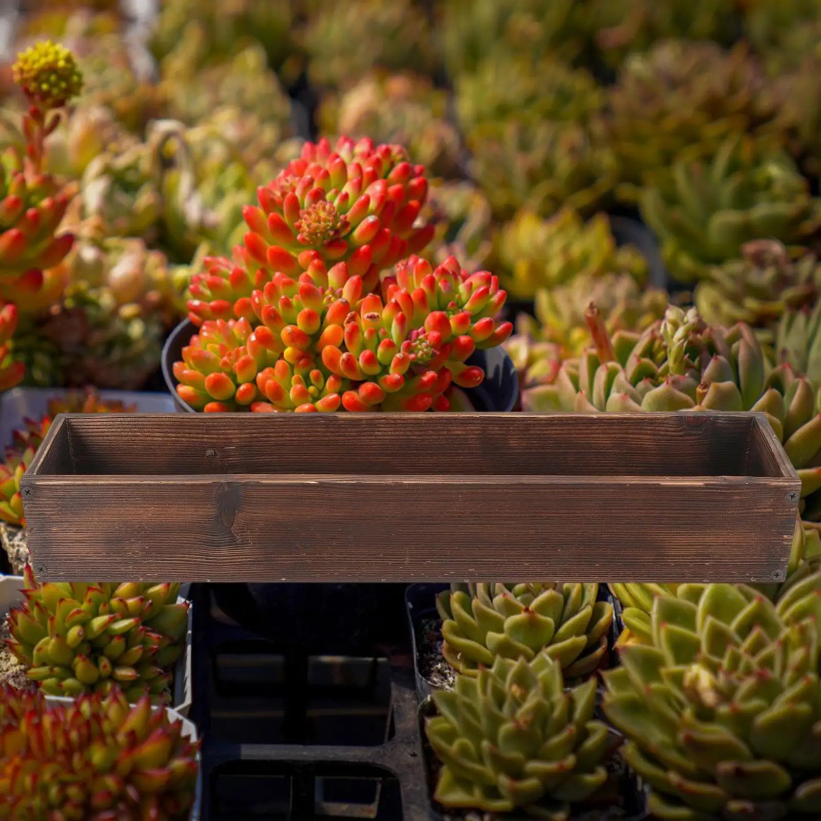 Thumbnail 4 - #13 Latest Outdoor Planter Boxes Offers