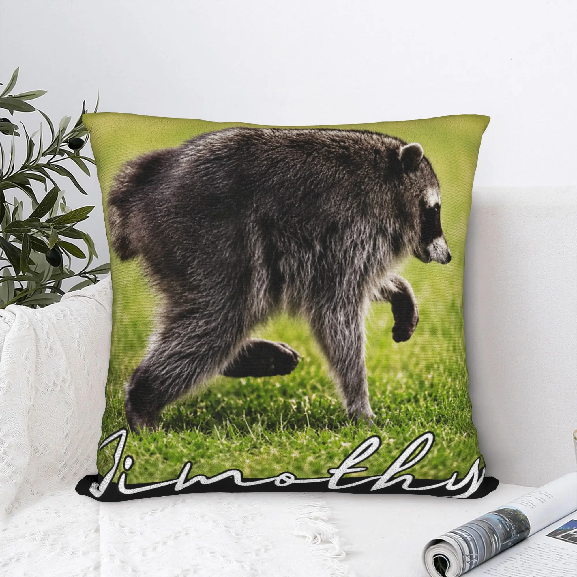 Pillow Case Seattle Jimothy Raccoon Meme Trash Panda Humor Pillow Cover For Office Car Home Decor Retro Trendy Pillowcases